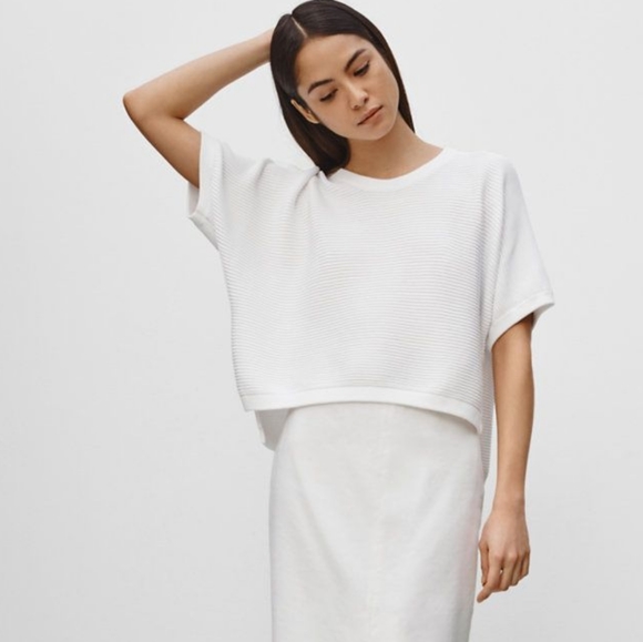 Aritzia Babaton Donald Crochet Rib Cropped Sweater